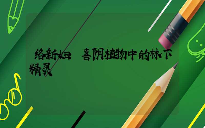 络新妇：喜阴植物中的林下精灵