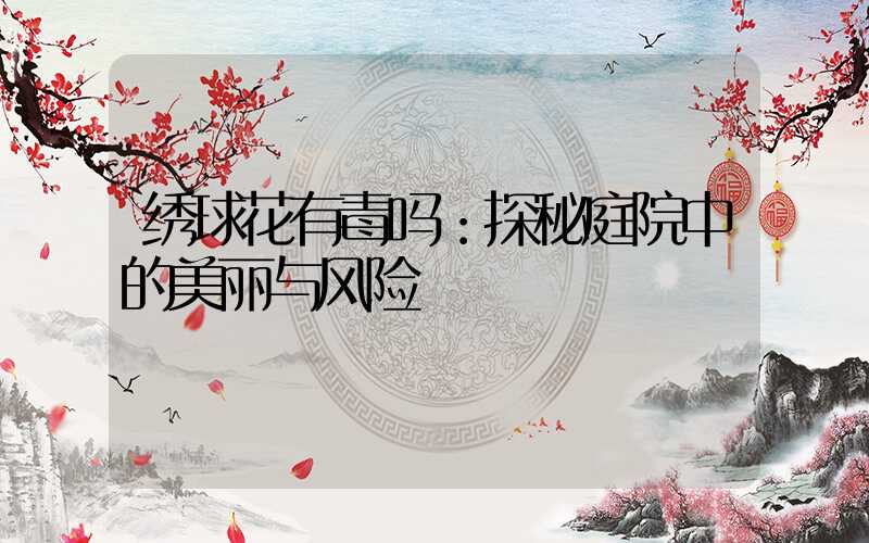 绣球花有毒吗：探秘庭院中的美丽与风险