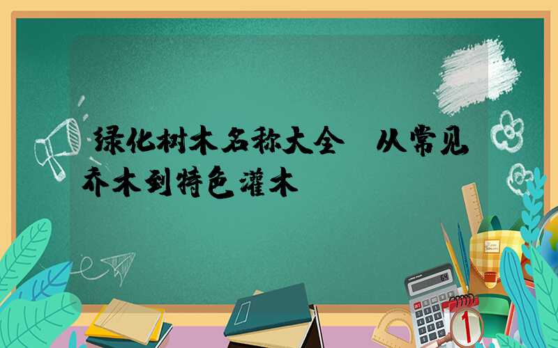 绿化树木名称大全：从常见乔木到特色灌木
