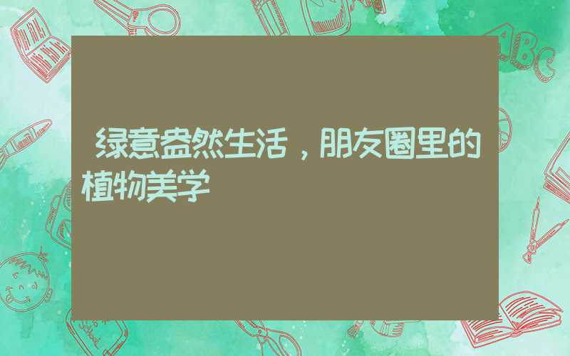 绿意盎然生活，朋友圈里的植物美学