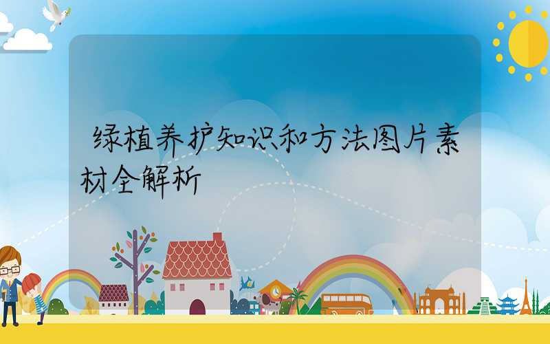 绿植养护知识和方法图片素材全解析