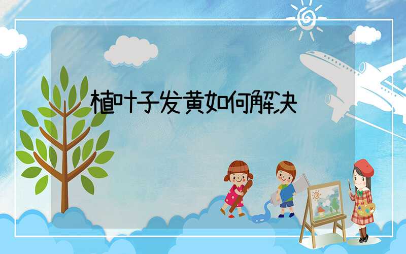 绿植叶子发黄如何解决