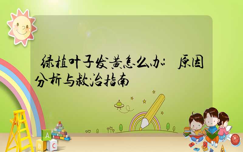 绿植叶子发黄怎么办:原因分析与救治指南