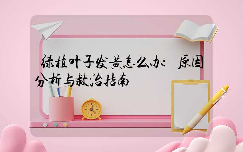 绿植叶子发黄怎么办：原因分析与救治指南