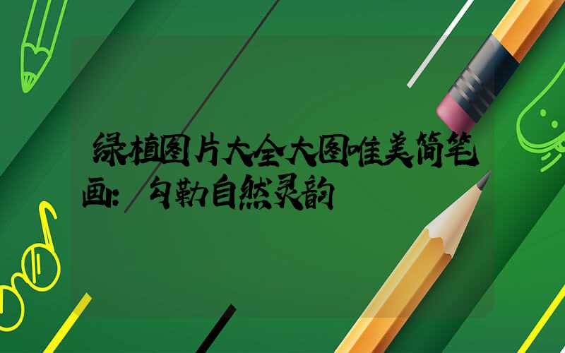 绿植图片大全大图唯美简笔画：勾勒自然灵韵