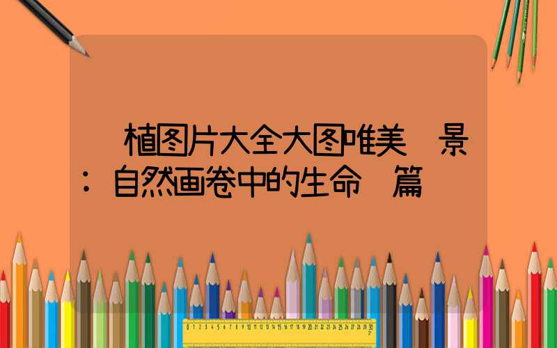 绿植图片大全大图唯美风景:自然画卷中的生命诗篇