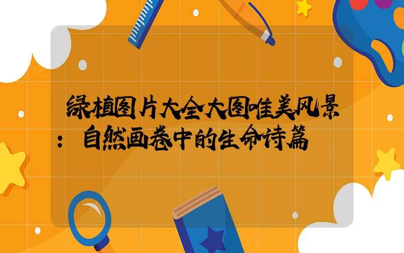 绿植图片大全大图唯美风景：自然画卷中的生命诗篇