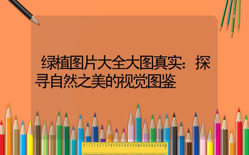 绿植图片大全大图真实：探寻自然之美的视觉图鉴