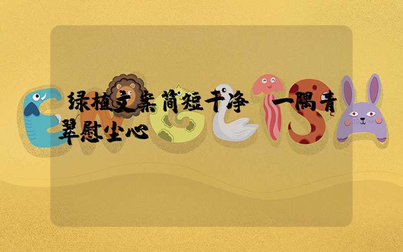 绿植文案简短干净:一隅青翠慰尘心