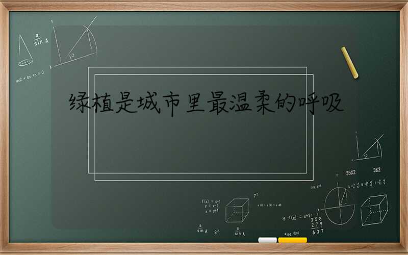 绿植是城市里最温柔的呼吸