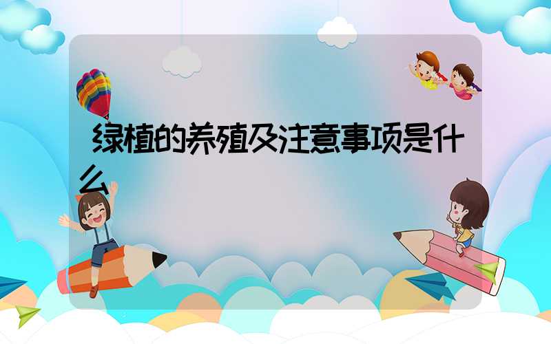 绿植的养殖及注意事项是什么