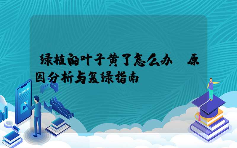 绿植的叶子黄了怎么办:原因分析与复绿指南