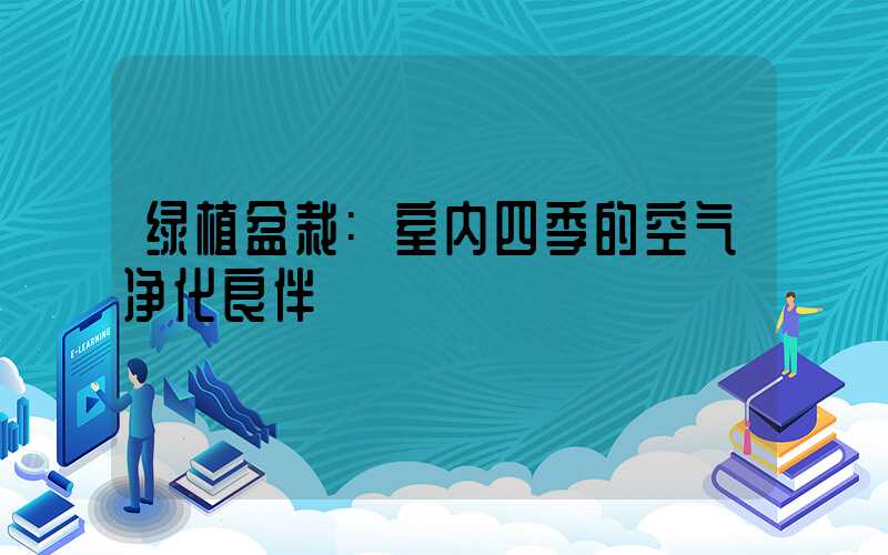 绿植盆栽:室内四季的空气净化良伴