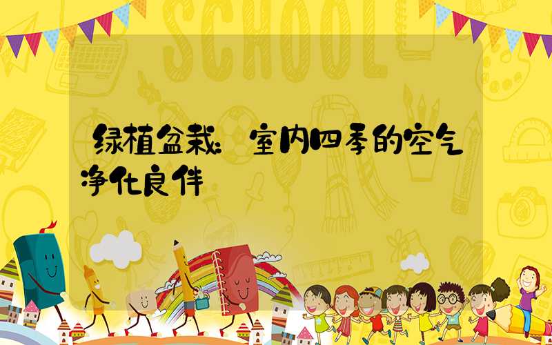 绿植盆栽：室内四季的空气净化良伴