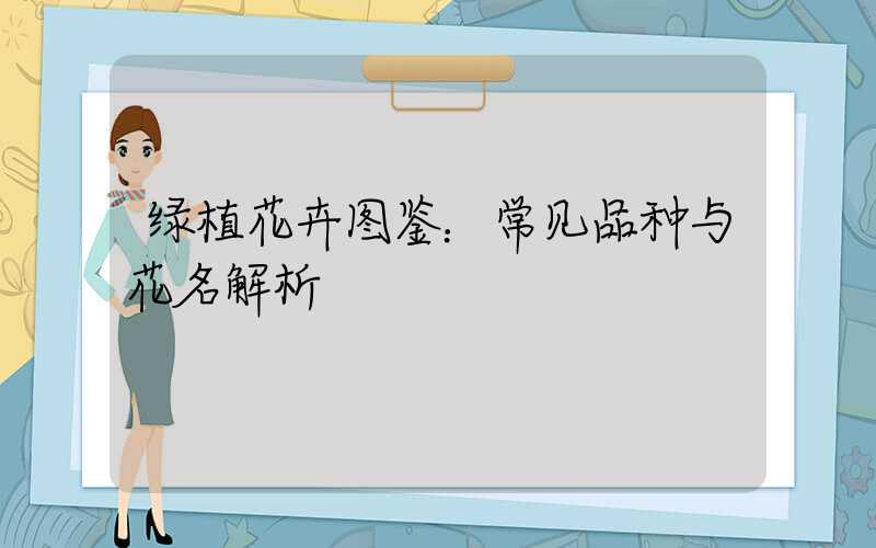 绿植花卉图鉴：常见品种与花名解析