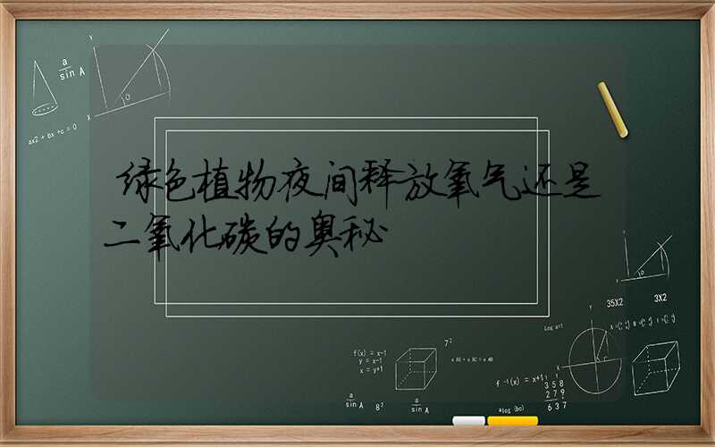 绿色植物夜间释放氧气还是二氧化碳的奥秘