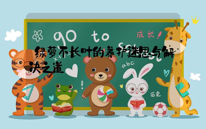 绿萝不长叶的养护迷思与解决之道