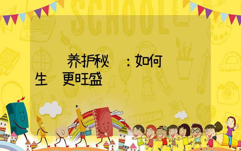 绿萝养护秘诀：如何让绿萝生长更旺盛