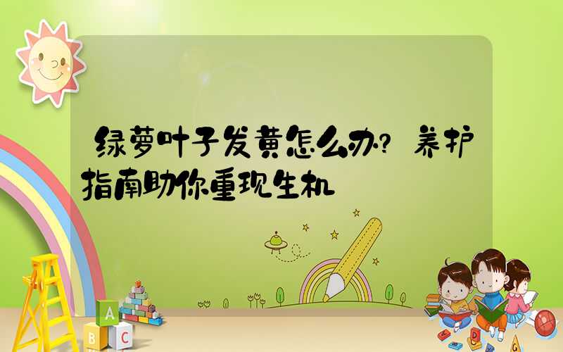 绿萝叶子发黄怎么办？养护指南助你重现生机