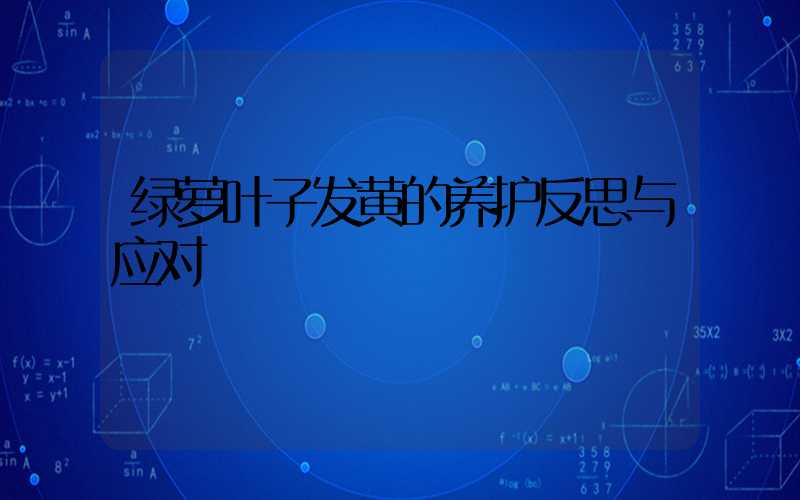 绿萝叶子发黄的养护反思与应对