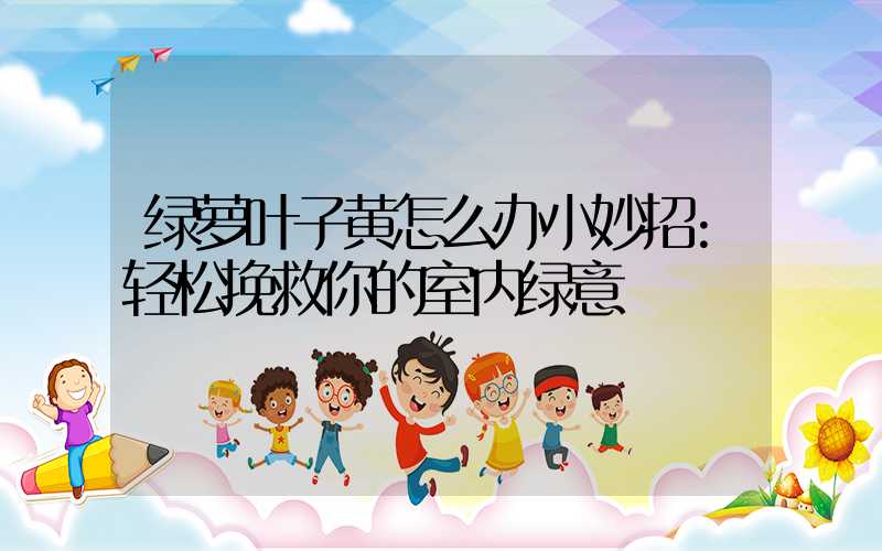 绿萝叶子黄怎么办小妙招:轻松挽救你的室内绿意