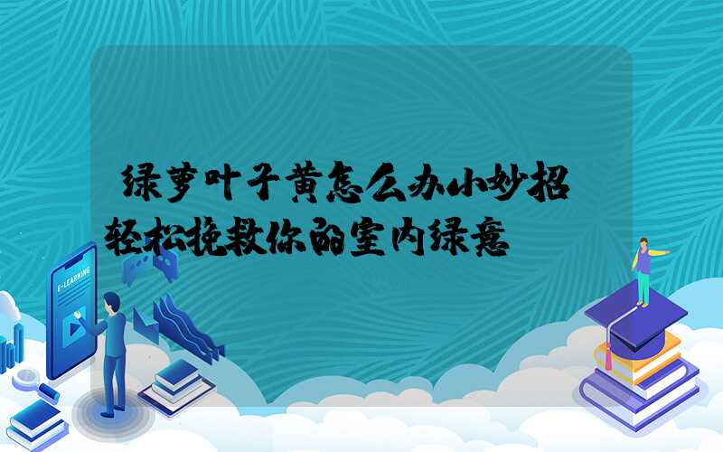 绿萝叶子黄怎么办小妙招：轻松挽救你的室内绿意