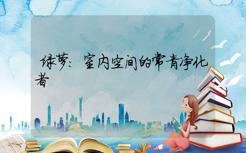 绿萝：室内空间的常青净化者