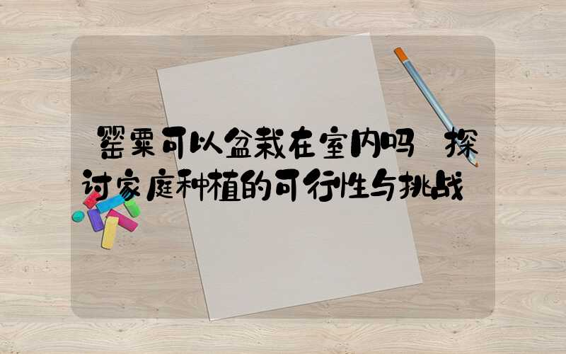 罂粟可以盆栽在室内吗:探讨家庭种植的可行性与挑战