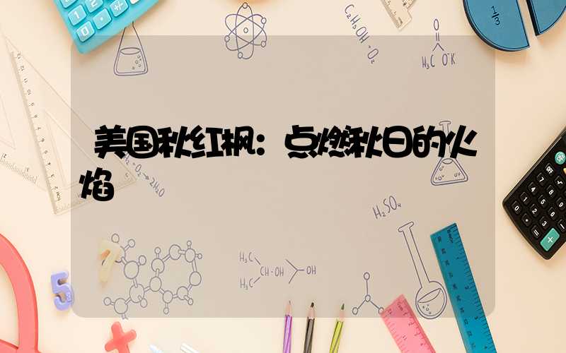 美国秋红枫：点燃秋日的火焰