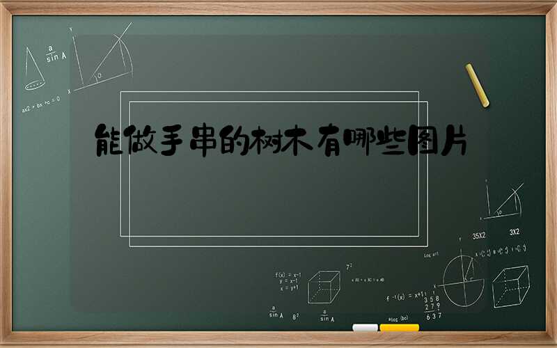 能做手串的树木有哪些图片
