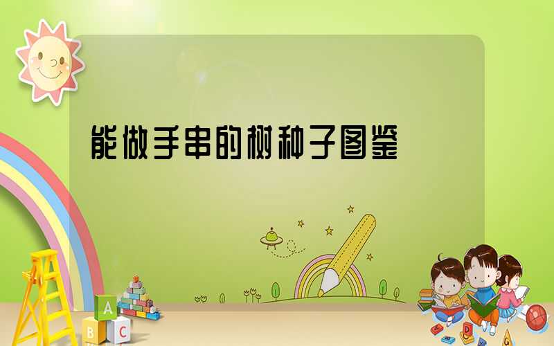 能做手串的树种子图鉴