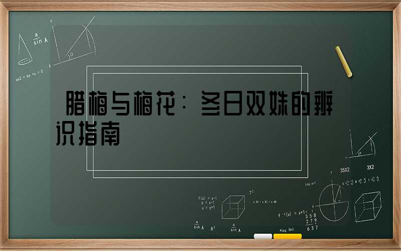 腊梅与梅花：冬日双姝的辨识指南