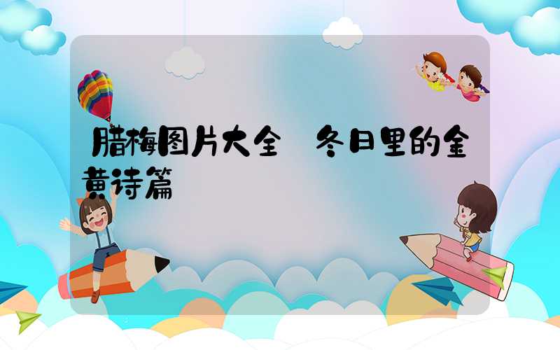 腊梅图片大全:冬日里的金黄诗篇