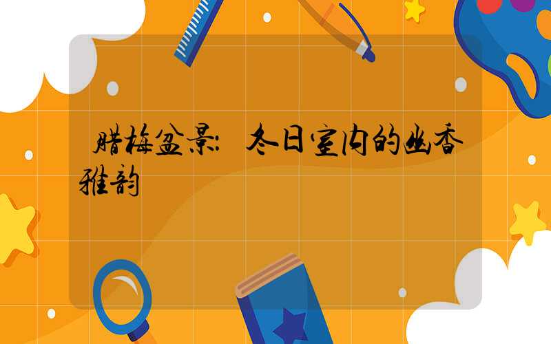 腊梅盆景：冬日室内的幽香雅韵