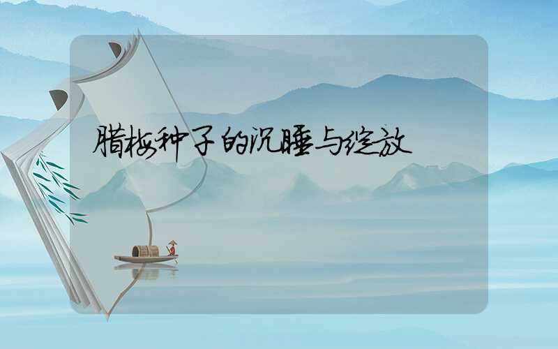 腊梅种子的沉睡与绽放