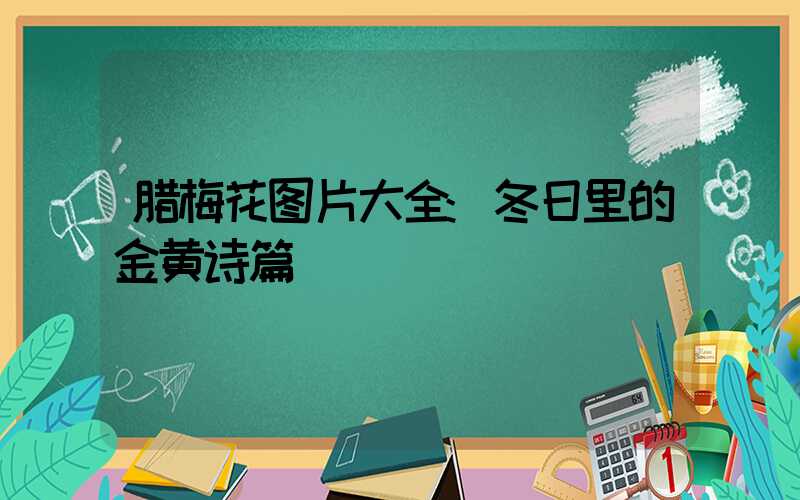 腊梅花图片大全:冬日里的金黄诗篇