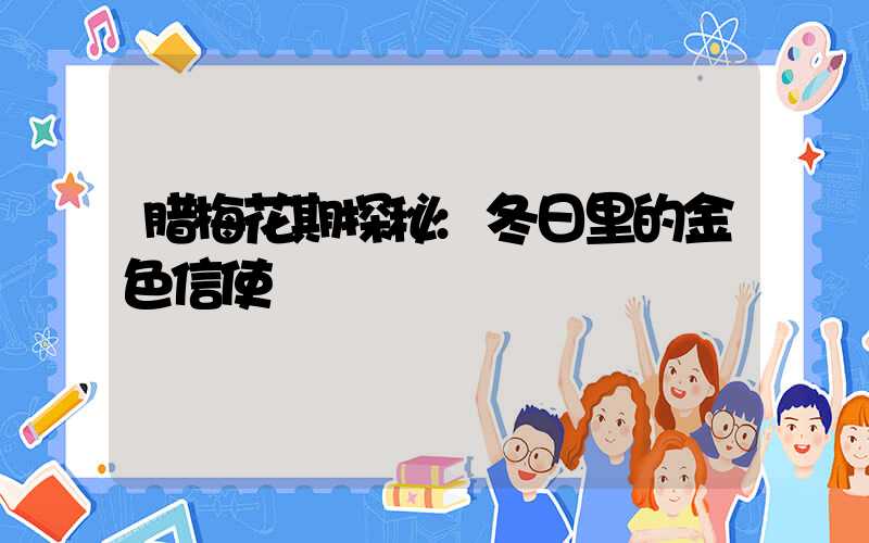 腊梅花期探秘:冬日里的金色信使