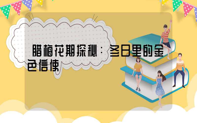 腊梅花期探秘：冬日里的金色信使