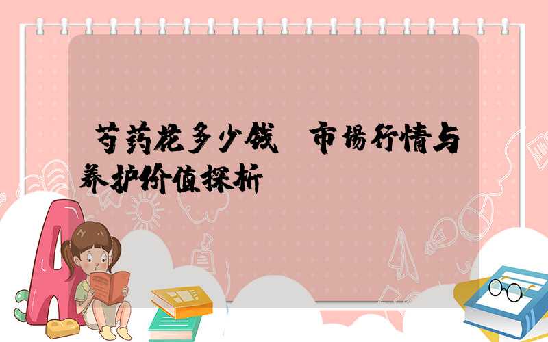 芍药花多少钱：市场行情与养护价值探析