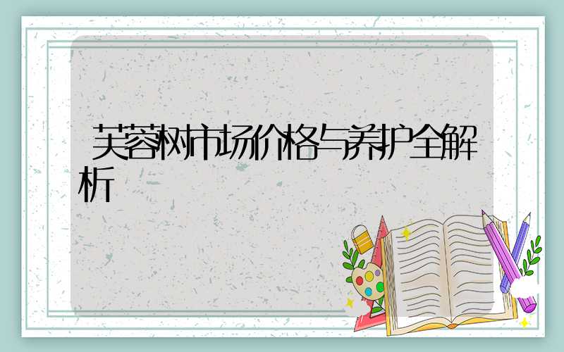 芙蓉树市场价格与养护全解析