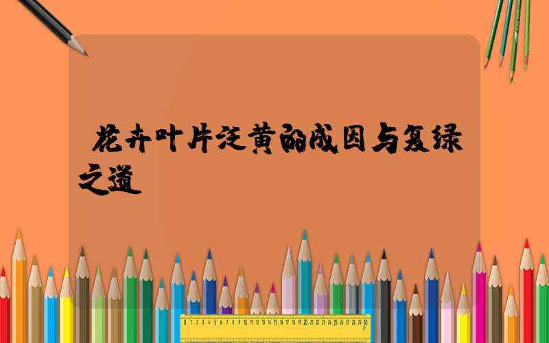 花卉叶片泛黄的成因与复绿之道