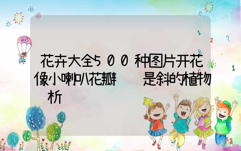 花卉大全500种图片开花像小喇叭花瓣边缘是斜的植物赏析