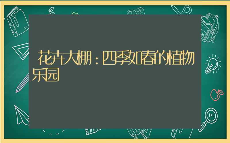 花卉大棚：四季如春的植物乐园