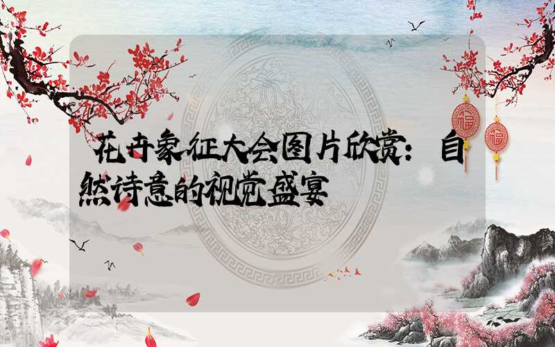 花卉象征大会图片欣赏：自然诗意的视觉盛宴