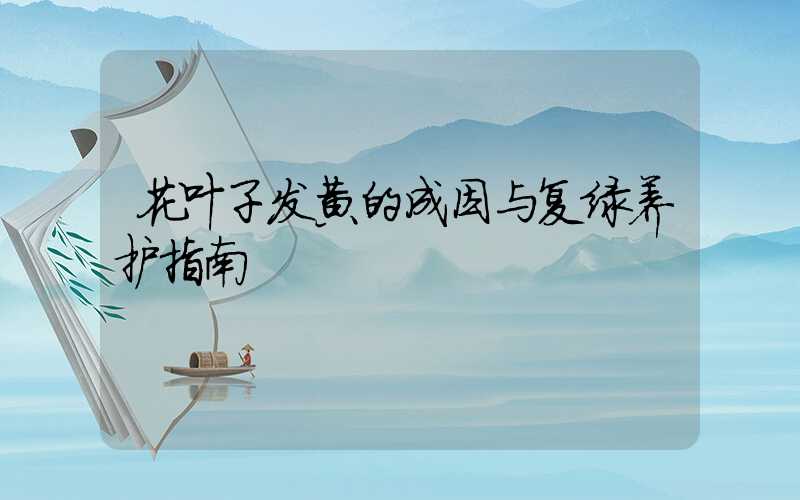 花叶子发黄的成因与复绿养护指南