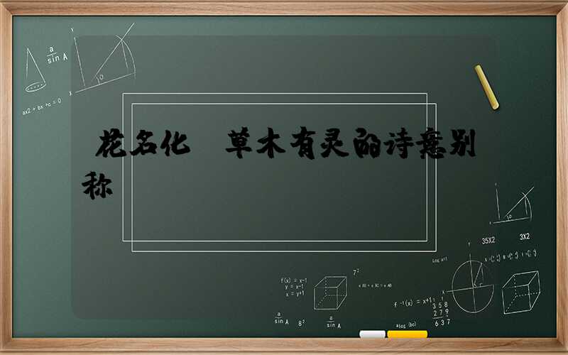 花名化：草木有灵的诗意别称
