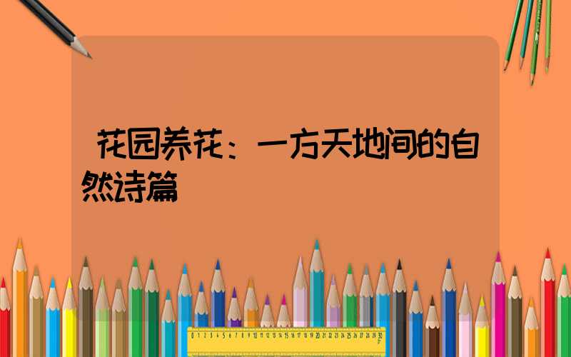 花园养花：一方天地间的自然诗篇