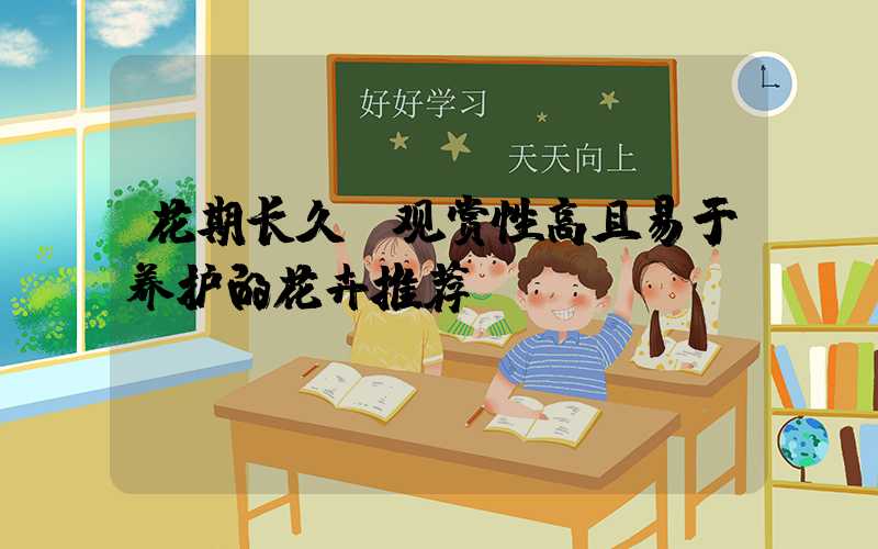 花期长久、观赏性高且易于养护的花卉推荐