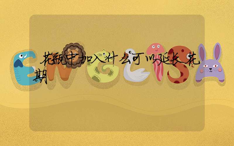 花瓶中加入什么可以延长花期