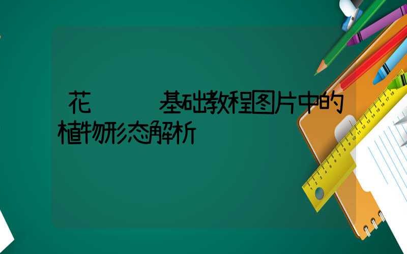 花艺设计基础教程图片中的植物形态解析